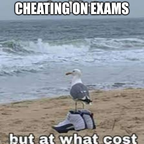Ballin but at what cost | CHEATING ON EXAMS | image tagged in ballin but at what cost | made w/ Imgflip meme maker