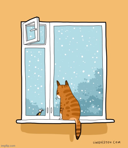 A Cat's Way Of Thinking | image tagged in memes,comics/cartoons,cats,not today,bird,snow | made w/ Imgflip meme maker