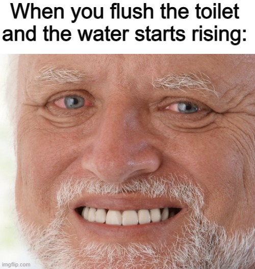 Hide the Pain Harold | When you flush the toilet and the water starts rising: | image tagged in hide the pain harold | made w/ Imgflip meme maker