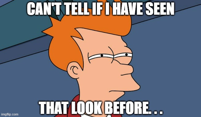 Can't tell if | CAN'T TELL IF I HAVE SEEN THAT LOOK BEFORE. . . | image tagged in can't tell if | made w/ Imgflip meme maker