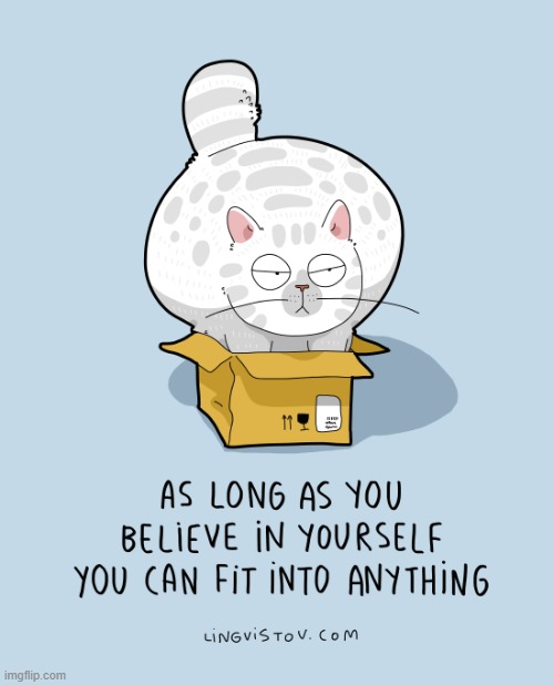 A Cat's Way Of Thinking | image tagged in memes,comics/cartoons,cats,box,believe,fit | made w/ Imgflip meme maker