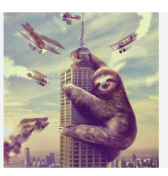 High Quality favrote sloth Blank Meme Template