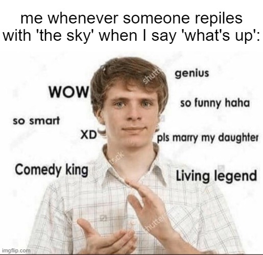 'That was so funny bro, I just forgot to laugh, don't worry I'll laugh next time for sure' | me whenever someone repiles with 'the sky' when I say 'what's up': | image tagged in wow genius so smart so funny,bruh,i forgot to laugh,funny,memes,fun | made w/ Imgflip meme maker