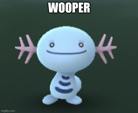 Wooper | WOOPER | image tagged in wooper | made w/ Imgflip meme maker