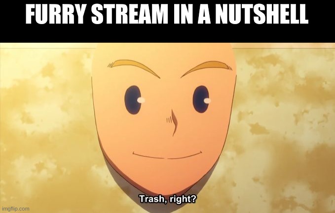 Trash, Right? | FURRY STREAM IN A NUTSHELL | image tagged in trash right | made w/ Imgflip meme maker