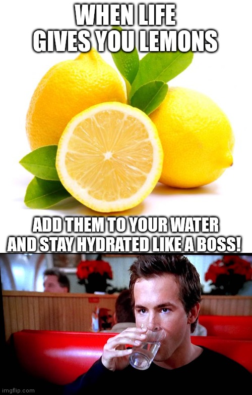 WHEN LIFE GIVES YOU LEMONS; ADD THEM TO YOUR WATER AND STAY HYDRATED LIKE A BOSS! | image tagged in when lif gives you lemons,i'll just enjoy this glass of water | made w/ Imgflip meme maker