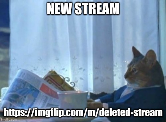 I Should Buy A Boat Cat | NEW STREAM; https://imgflip.com/m/deleted-stream | image tagged in memes,i should buy a boat cat | made w/ Imgflip meme maker