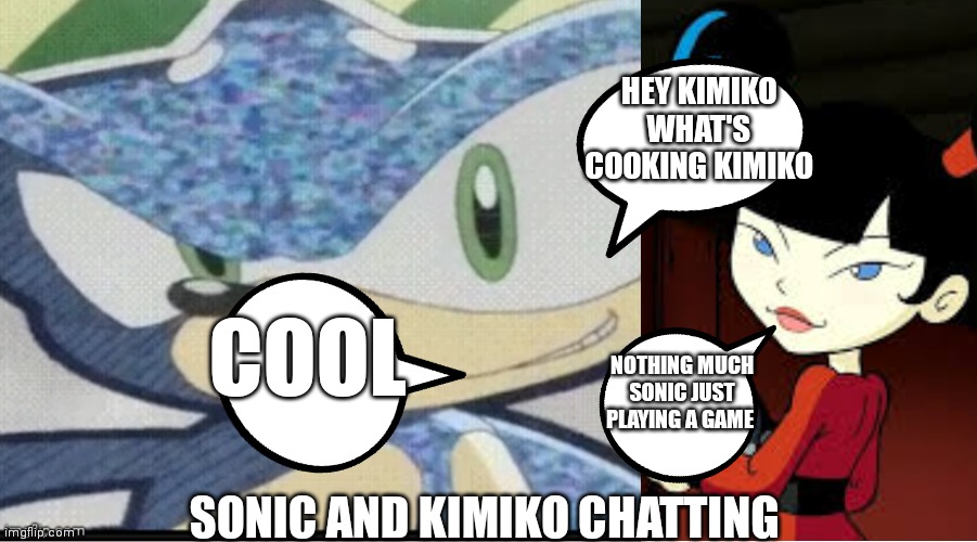 Sonic talking to kimiko | HEY KIMIKO WHAT'S COOKING KIMIKO; COOL; NOTHING MUCH SONIC JUST PLAYING A GAME; SONIC AND KIMIKO CHATTING | image tagged in sonic riders sonic,sweet,sonic and kimiko,chatting,friendly chat | made w/ Imgflip meme maker
