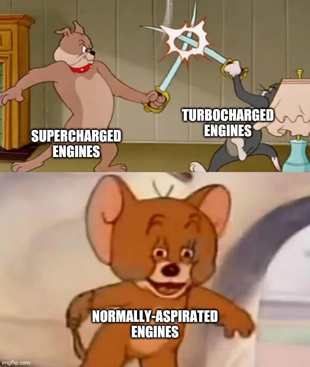 Tom and Spike fighting | TURBOCHARGED ENGINES; SUPERCHARGED ENGINES; NORMALLY-ASPIRATED ENGINES | image tagged in tom and spike fighting,engine,normal | made w/ Imgflip meme maker