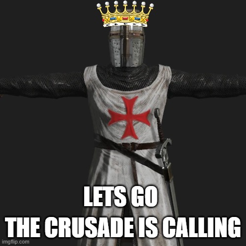 King of the crusade | THE CRUSADE IS CALLING; LETS GO | image tagged in t posing crusader,king crusade | made w/ Imgflip meme maker