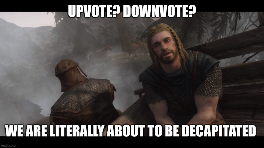 Skyrim you're finally awake | UPVOTE? DOWNVOTE? WE ARE LITERALLY ABOUT TO BE DECAPITATED | image tagged in skyrim you're finally awake | made w/ Imgflip meme maker