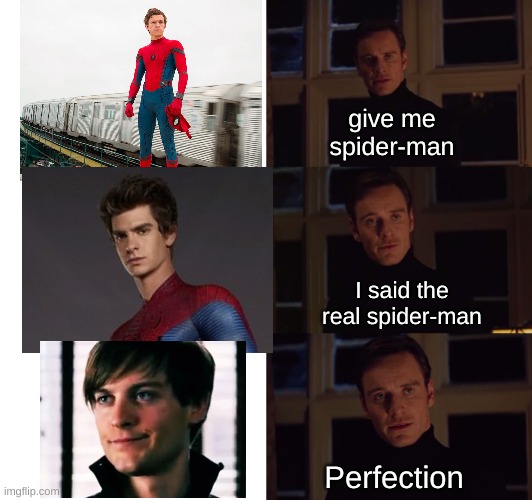 Perfection Spider-Man | give me spider-man; I said the real spider-man; Perfection | image tagged in perfection,spiderman | made w/ Imgflip meme maker