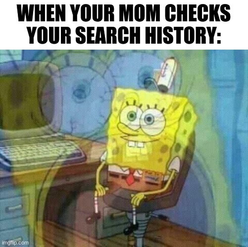 spongebob panic inside | WHEN YOUR MOM CHECKS YOUR SEARCH HISTORY: | image tagged in spongebob panic inside | made w/ Imgflip meme maker