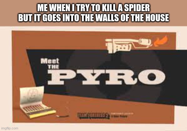 about to recreate the meet the pyro video | ME WHEN I TRY TO KILL A SPIDER BUT IT GOES INTO THE WALLS OF THE HOUSE | image tagged in meet the pyro | made w/ Imgflip meme maker