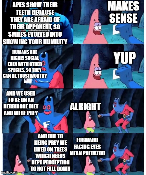 patrick not my wallet | MAKES SENSE; APES SHOW THEIR TEETH BECAUSE THEY ARE AFRAID OF THEIR OPPONENT, SO SMILES EVOLVED INTO SHOWING YOUR HUMILITY; HUMANS ARE HIGHLY SOCIAL EVEN WITH OTHER SPECIES, SO THEY CAN BE TRUSTWORTHY; YUP; AND WE USED TO BE ON AN HERBIVORE DIET AND WERE PREY; ALRIGHT; AND DUE TO BEING PREY WE LIVED ON TREES WHICH NEEDS DEPT PERCEPTION TO NOT FALL DOWN; FORWARD FACING EYES MEAN PREDATOR | image tagged in patrick not my wallet | made w/ Imgflip meme maker