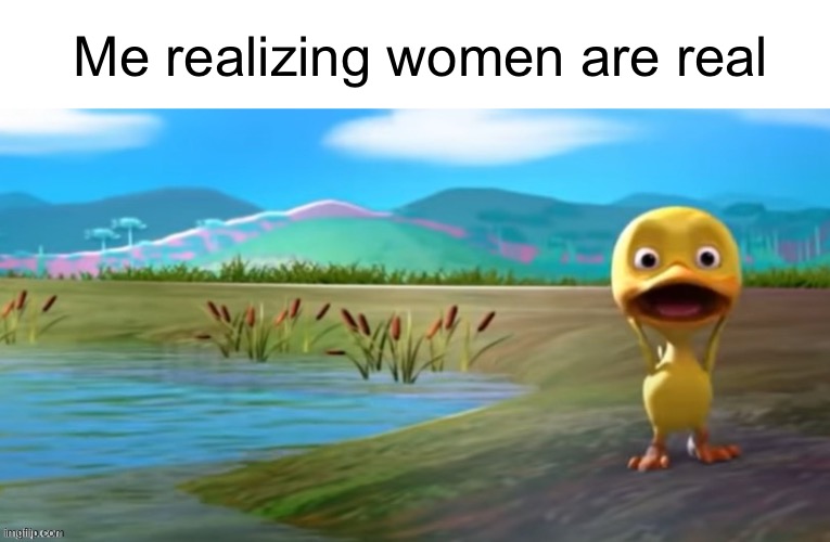 Duck flabbergasted | Me realizing women are real | image tagged in duck flabbergasted | made w/ Imgflip meme maker