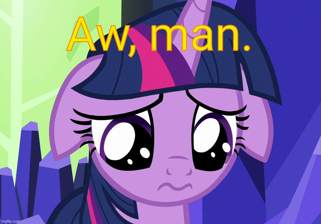 Sad Twilight (MLP) | Aw, man. | image tagged in sad twilight mlp | made w/ Imgflip meme maker