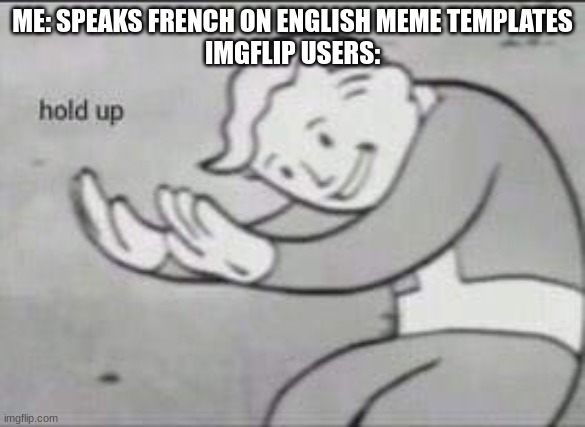 what the hell | ME: SPEAKS FRENCH ON ENGLISH MEME TEMPLATES
IMGFLIP USERS: | image tagged in fallout hold up | made w/ Imgflip meme maker