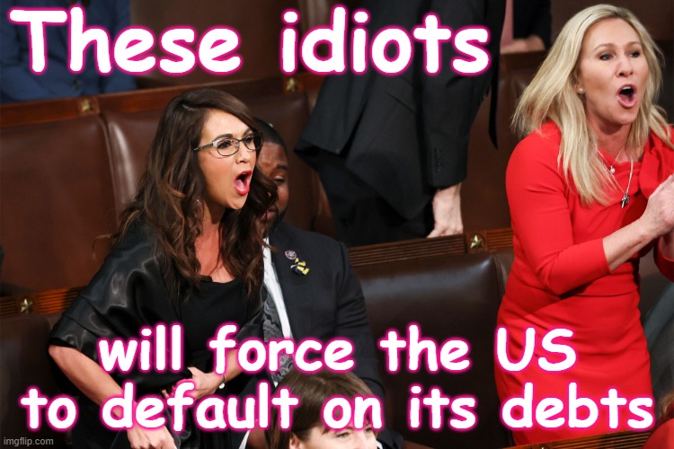 These Republican idiots will force the US to default on its debts | These idiots; will force the US to default on its debts | image tagged in republican karens,mtg,republican,default,congress,usa | made w/ Imgflip meme maker