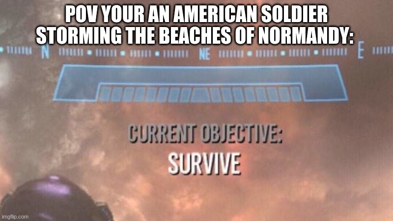 Survive | POV YOUR AN AMERICAN SOLDIER STORMING THE BEACHES OF NORMANDY: | image tagged in current objective survive,memes | made w/ Imgflip meme maker