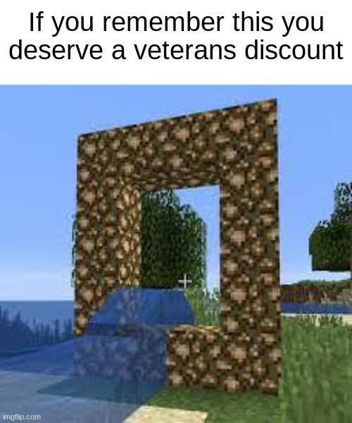 Untitled Image | If you remember this you deserve a veterans discount | image tagged in aether portal | made w/ Imgflip meme maker