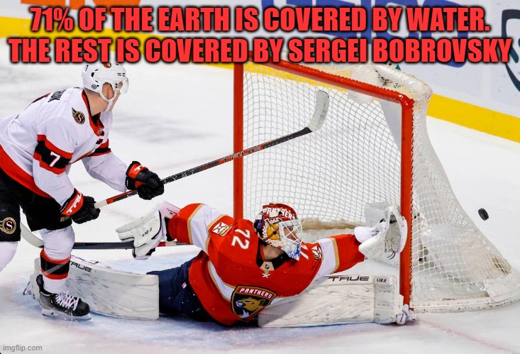 Sergei Bobvrosky | 71% OF THE EARTH IS COVERED BY WATER. THE REST IS COVERED BY SERGEI BOBROVSKY | image tagged in nhl,florida man | made w/ Imgflip meme maker