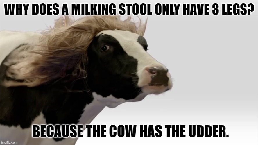 Daily Bad Dad Joke 05/23/2023 | WHY DOES A MILKING STOOL ONLY HAVE 3 LEGS? BECAUSE THE COW HAS THE UDDER. | image tagged in fabio cow | made w/ Imgflip meme maker