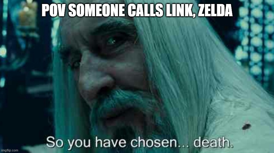 So you have chosen death | POV SOMEONE CALLS LINK, ZELDA | image tagged in so you have chosen death | made w/ Imgflip meme maker