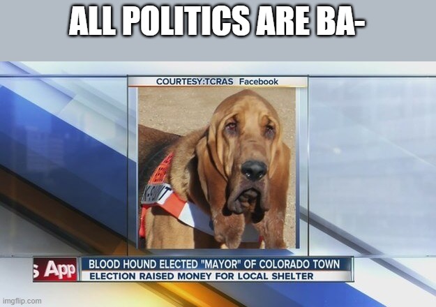 ALL POLITICS ARE BA- | made w/ Imgflip meme maker