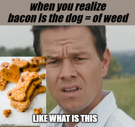 BOOGEY STREAM | when you realize bacon is the dog = of weed; LIKE WHAT IS THIS | image tagged in huh | made w/ Imgflip meme maker