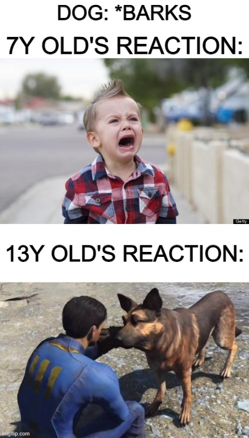 Only takes 6 fricking years to stop getting startled @_@ | DOG: *BARKS; 7Y OLD'S REACTION:; 13Y OLD'S REACTION: | image tagged in crying kid | made w/ Imgflip meme maker