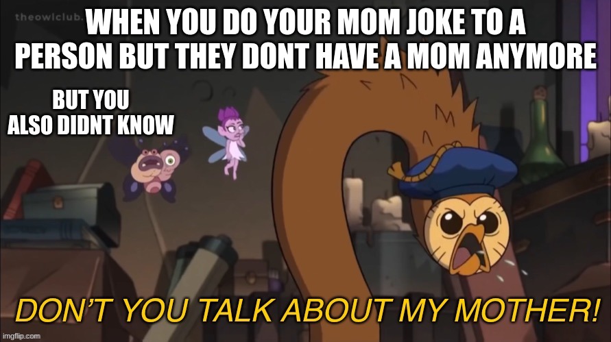 DON’T YOU TALK ABOUT MY MOTHER! | WHEN YOU DO YOUR MOM JOKE TO A PERSON BUT THEY DONT HAVE A MOM ANYMORE; BUT YOU ALSO DIDNT KNOW | image tagged in don t you talk about my mother,funny memes,toh | made w/ Imgflip meme maker