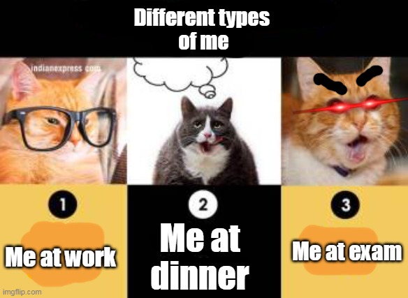 Different types of me | Different types 
of me; Me at exam; Me at dinner; Me at work | image tagged in cats | made w/ Imgflip meme maker