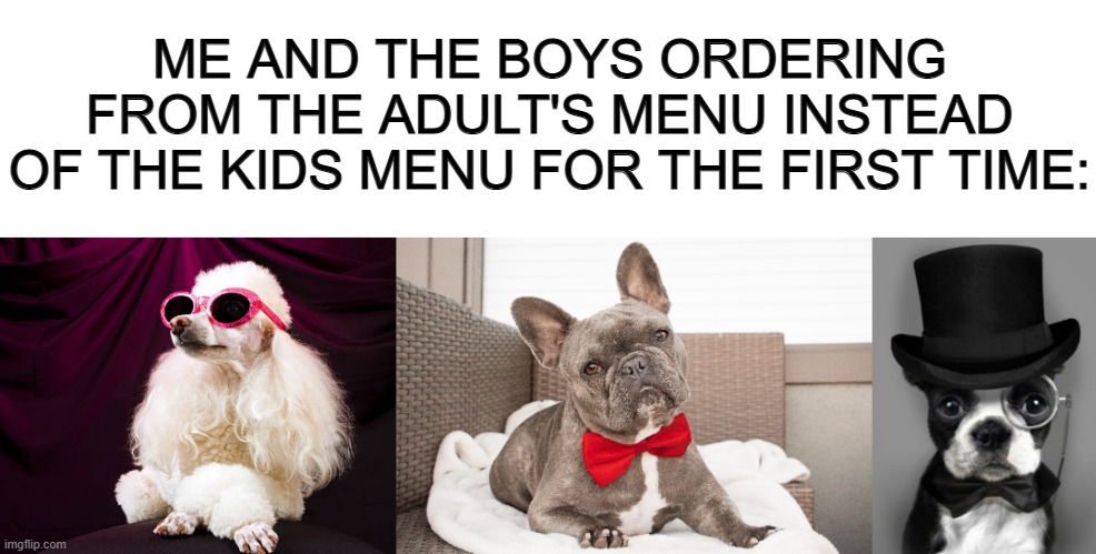 We're men now U-U | ME AND THE BOYS ORDERING FROM THE ADULT'S MENU INSTEAD OF THE KIDS MENU FOR THE FIRST TIME: | image tagged in dog with top hat | made w/ Imgflip meme maker