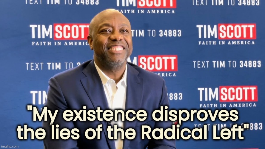 Fear the latest White Supremacist | "My existence disproves the lies of the Radical Left" | image tagged in conservatives,successful black man,the view,wow look nothing,party of hate,demonrats | made w/ Imgflip meme maker