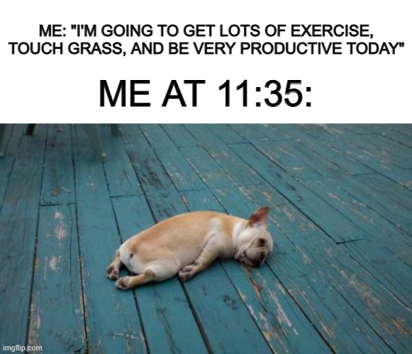Zzzz... | ME: "I'M GOING TO GET LOTS OF EXERCISE, TOUCH GRASS, AND BE VERY PRODUCTIVE TODAY"; ME AT 11:35: | image tagged in blank white template,tired dog | made w/ Imgflip meme maker