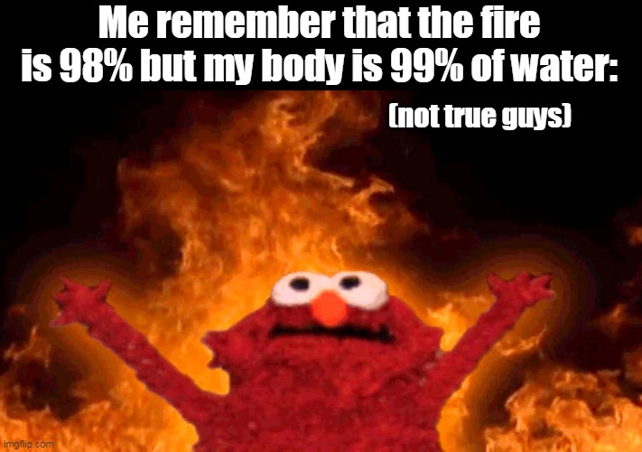 me entering the fire: | Me remember that the fire is 98% but my body is 99% of water:; (not true guys) | image tagged in elmo fire | made w/ Imgflip meme maker