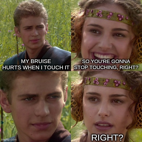 e | MY BRUISE HURTS WHEN I TOUCH IT; SO YOU'RE GONNA STOP TOUCHING, RIGHT? RIGHT? | image tagged in anakin padme 4 panel | made w/ Imgflip meme maker