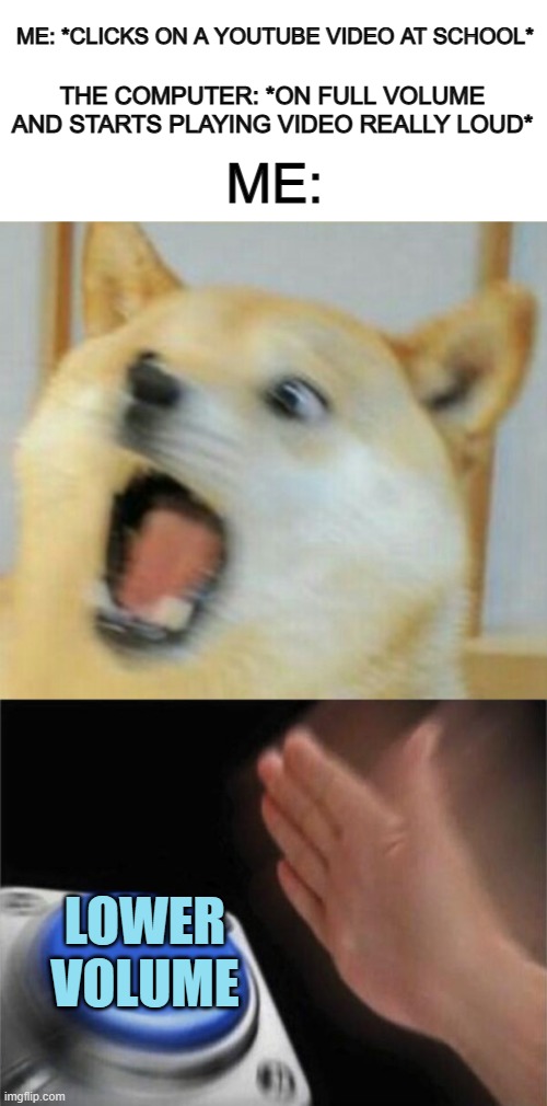*Wheezes in stress* | ME: *CLICKS ON A YOUTUBE VIDEO AT SCHOOL*; ME:; THE COMPUTER: *ON FULL VOLUME AND STARTS PLAYING VIDEO REALLY LOUD*; LOWER VOLUME | image tagged in doge freaks out,memes,blank nut button | made w/ Imgflip meme maker