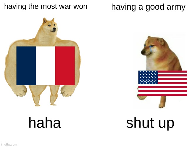 France is the goat | having the most war won; having a good army; haha; shut up | image tagged in memes,buff doge vs cheems | made w/ Imgflip meme maker