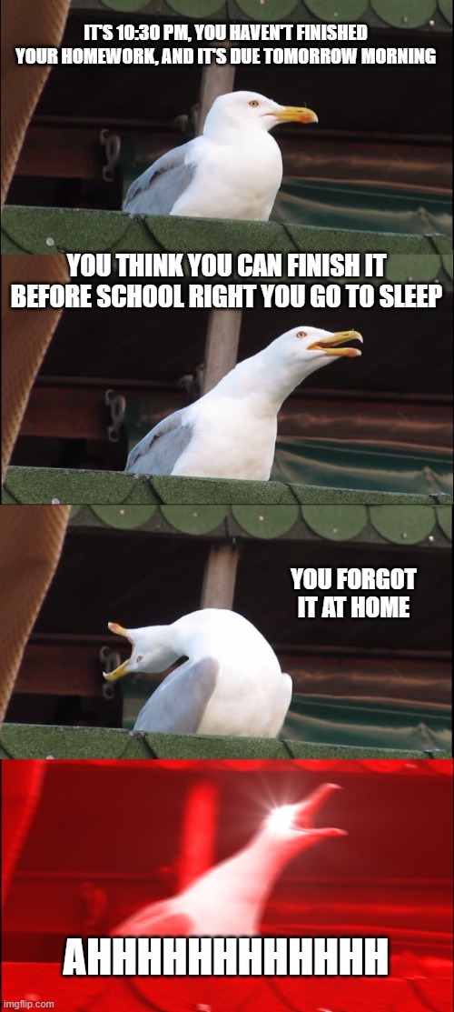 Inhaling Seagull | IT'S 10:30 PM, YOU HAVEN'T FINISHED YOUR HOMEWORK, AND IT'S DUE TOMORROW MORNING; YOU THINK YOU CAN FINISH IT BEFORE SCHOOL RIGHT YOU GO TO SLEEP; YOU FORGOT IT AT HOME; AHHHHHHHHHHHH | image tagged in memes,inhaling seagull | made w/ Imgflip meme maker