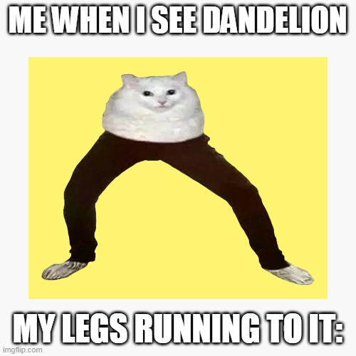 ME WHEN I SEE DANDELION MY LEGS RUNNING TO IT: | made w/ Imgflip meme maker