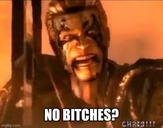 Wesker no bitches? | NO BITCHES? | image tagged in resident evil,memes | made w/ Imgflip meme maker