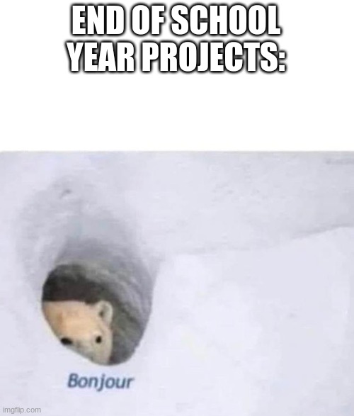 Bonjour | END OF SCHOOL YEAR PROJECTS: | image tagged in bonjour | made w/ Imgflip meme maker