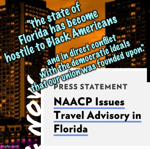 Taking the fight to the FLAliban | "the state of Florida has become hostile to Black Americans; and in direct conflict with the democratic ideals that our union was founded upon." | image tagged in florida,safety,democracy,black lives matter,history | made w/ Imgflip meme maker