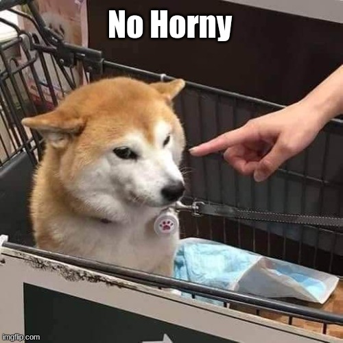No Horny | image tagged in no horny | made w/ Imgflip meme maker
