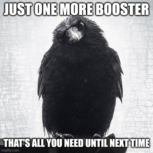 Crowspeak | JUST ONE MORE BOOSTER; THAT'S ALL YOU NEED UNTIL NEXT TIME | image tagged in just one more | made w/ Imgflip meme maker