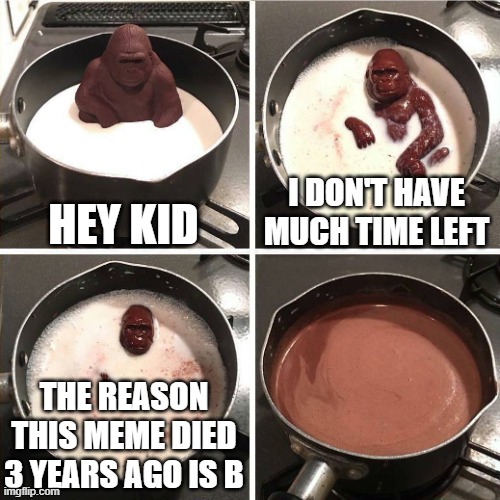 me | HEY KID; I DON'T HAVE MUCH TIME LEFT; THE REASON THIS MEME DIED 3 YEARS AGO IS B | image tagged in chocolate gorilla | made w/ Imgflip meme maker