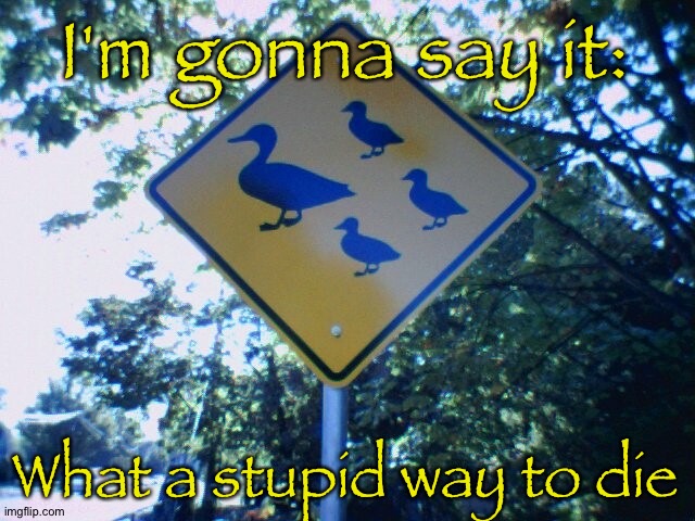 Duck crossing - Salem, Oregon | I'm gonna say it:; What a stupid way to die | image tagged in duck crossing - salem oregon | made w/ Imgflip meme maker