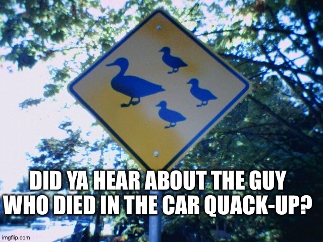 Duck crossing - Salem, Oregon | DID YA HEAR ABOUT THE GUY WHO DIED IN THE CAR QUACK-UP? | image tagged in duck crossing - salem oregon | made w/ Imgflip meme maker